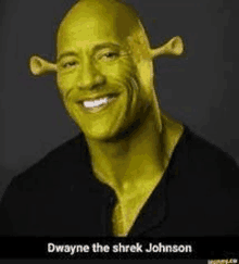 Dwayne Johnson Meme GIFs